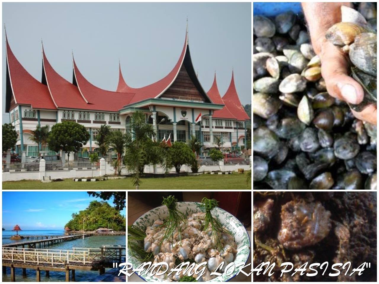 TAHUN 2023 DAN 2024 PESISIR SELATAN FOKUS HAPUSKAN KEMISKINAN EKSTRIM